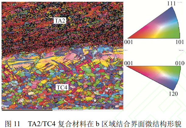 TA2/TC4鈦合金層狀復(fù)合板爆炸焊接-軋制制備及其界面微觀結(jié)構(gòu)表征與力學(xué)性能評價(jià)