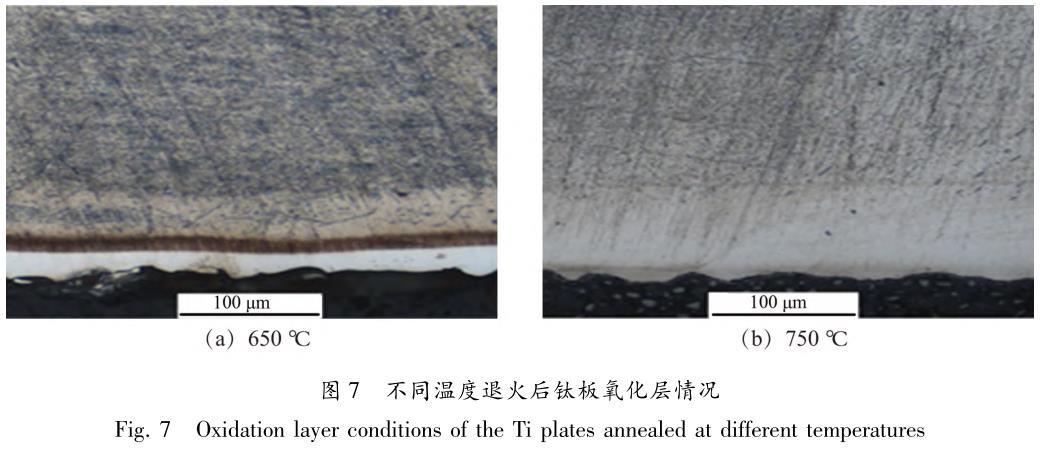 t7.jpg